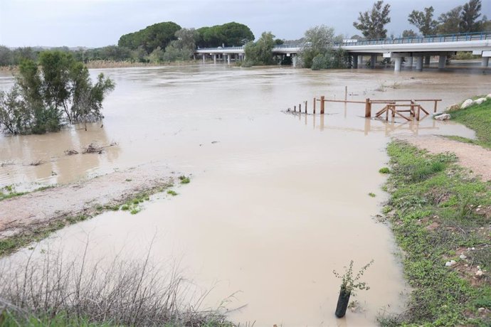 Crecida del río Guadalete a su paso por el puente de la Cartuja. A 1 de noviembre de 2024, en Jerez de la Frontera, Cádiz (Andalucía, España). 