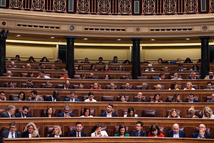 Una sesión plenaria, en el Congreso de los Diputado.