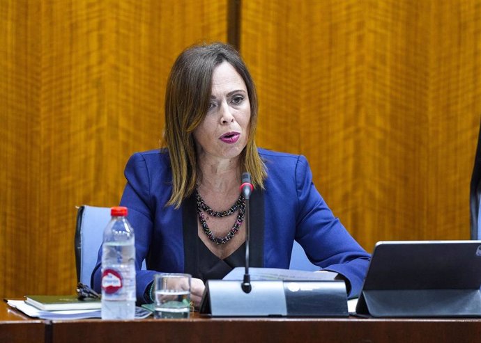 La consejera de Fomento, Rocío Díaz, este martes durante su comparecencia en comisión parlamentaria para explicar las cuentas de su departamento para 2025.