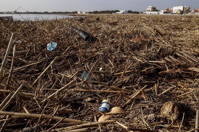 Ramas y residuos arrastrados por la DANA en la playa de Pinedo, a 5 de noviembre de 2024, en Valencia, Comunidad Valenciana (España). Hoy, se cumple una semana desde que la DANA arrasara la Comunitat Valenciana. Hasta el momento, hay 211 víctimas mortales