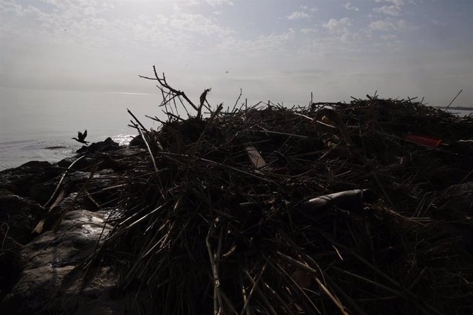 Ramas y residuos arrastrados por la DANA en la playa de Pinedo, a 5 de noviembre de 2024, en Valencia, Comunidad Valenciana (España). 