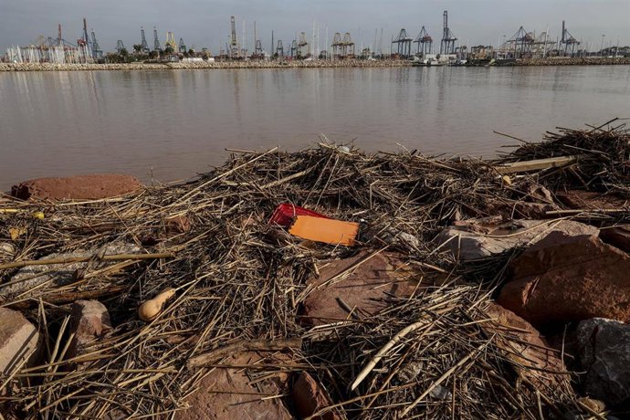 Ramas y residuos arrastrados por la DANA en la desembocadura del Turia, a 5 de noviembre de 2024, en Valencia, Comunidad Valenciana (España). 