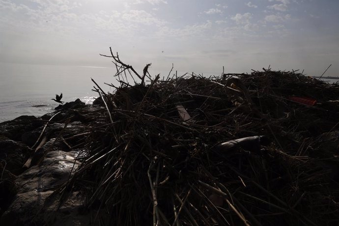 Branques i residus arrossegats per la DANA en la platja de Pinedo, a 5 de novembre de 2024