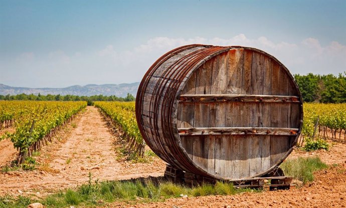 Archivo - Np 30 Planes Para Hacer Enoturismo Este Verano En Las Rutas Del Vino De España