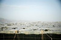 El Ejido (Almería) eleva a más de 191 millones los daños por la DANA, la mayoría en el campo