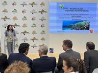 La Conselleria de Medio Natural destinará 22 millones de euros del ITS a proyectos de conservación y restauración