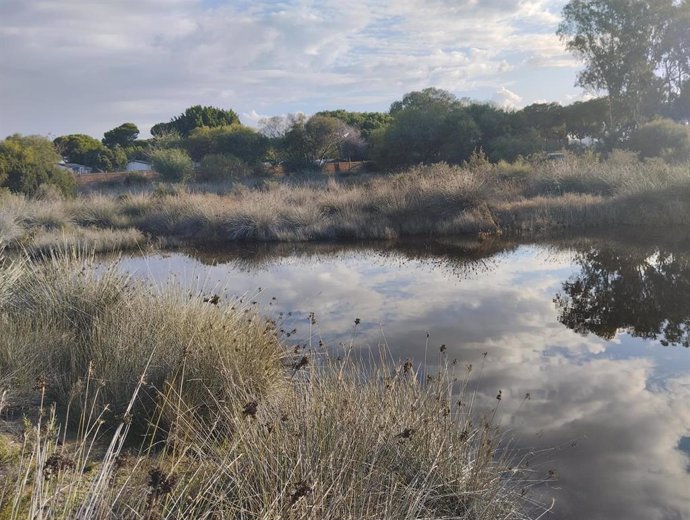 Rivera del río Guadalete en El Puerto de Santa María.