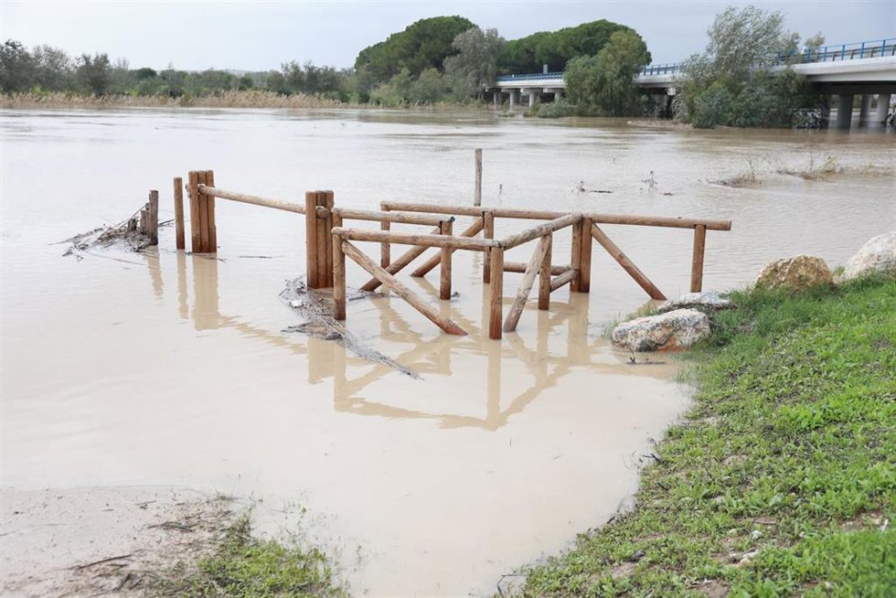 Crecida del río Guadalete a su paso por el puente de la Cartuja. A 1 de noviembre de 2024, en Jerez de la Frontera, Cádiz (Andalucía, España).