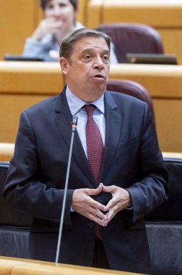 El ministro de Agricultura, Pesca y Alimentación, Luis Planas, durante una sesión de control al Gobierno, en el Senado, a 29 de octubre de 2024, en Madrid (España)