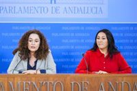 Por Andalucía critica que Moreno "se pone la medalla" del plan de empleo juvenil con fondos transferidos a la Junta