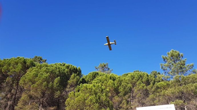 Avión actúa contra la procesionaria en los pinos.