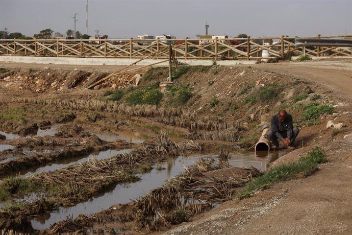 Estragos ocasionados por la DANA en un campo de cultivo en Valencia 