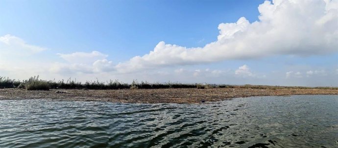 L'Albufera de València