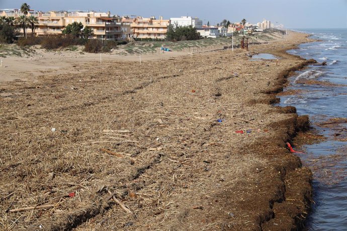 Cullera amb canyes a les platges