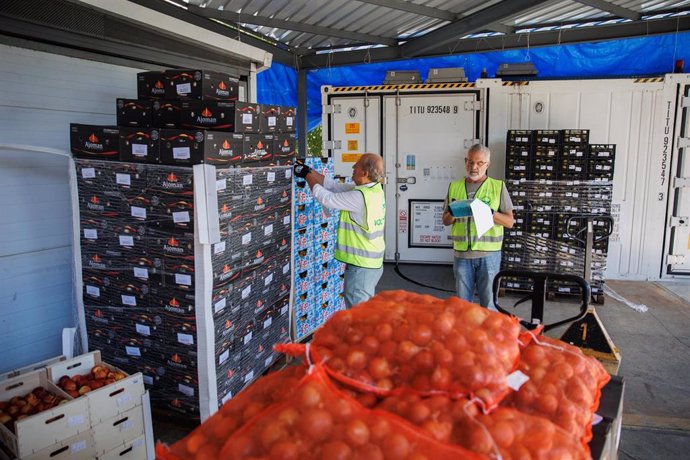 Archivo - Varios empleados revisan productos en el banco de alimentos del Colegio San Fernando, en Madrid (España).