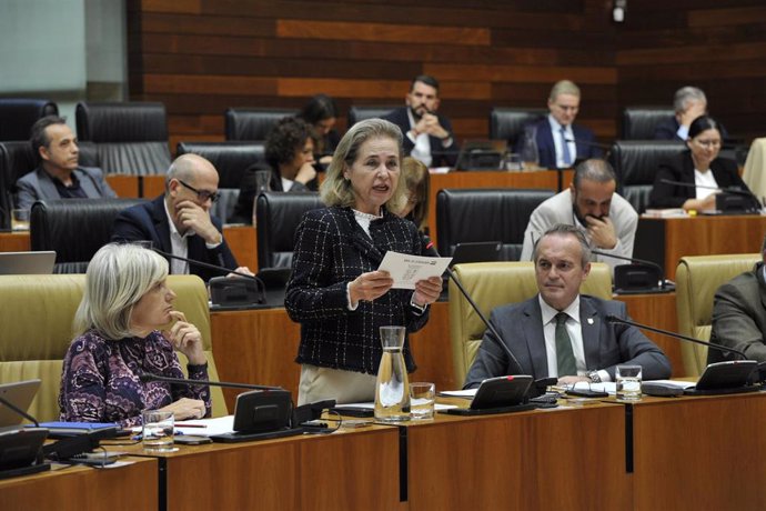 La consejera de Educación interviene en la Asamblea de Extremadura