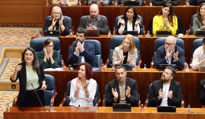 La portavoz de Más Madrid en la Asamblea de Madrid, Manuela Bergerot, interviene durante un pleno en la Asamblea de Madrid, a 7 de noviembre de 2024, en Madrid (España).