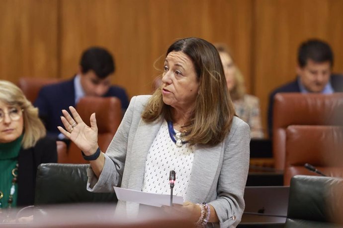 La consejera de Desarrollo Educativo y Formación Profesional, María del Carmen Castillo, en el Parlamento andaluz.