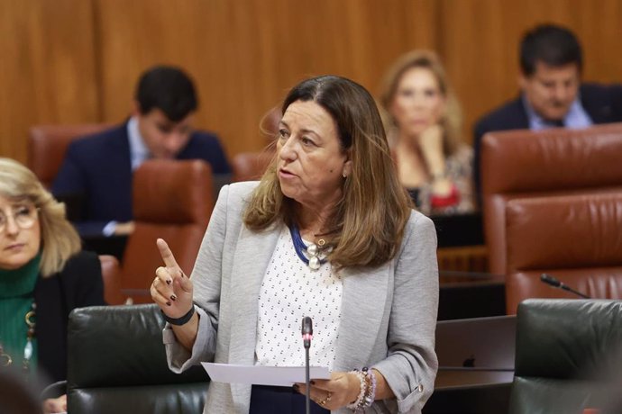 La consejera de Desarrollo Educativo y Formación Profesional, María del Carmen Castillo, en el Pleno del Parlamento de Andalucía del 7 de noviembre de 2024.