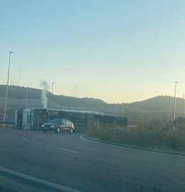 Dos heridos en el vuelco de un camión cargado de cerdos en la A-11, a la altura de La Cistérniga (Valladolid).