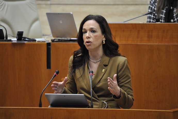 La consejera de Salud y Servicios Sociales, Sara García Espada, en su comparecencia en la Asamblea para hablar sobre atención de la salud mental