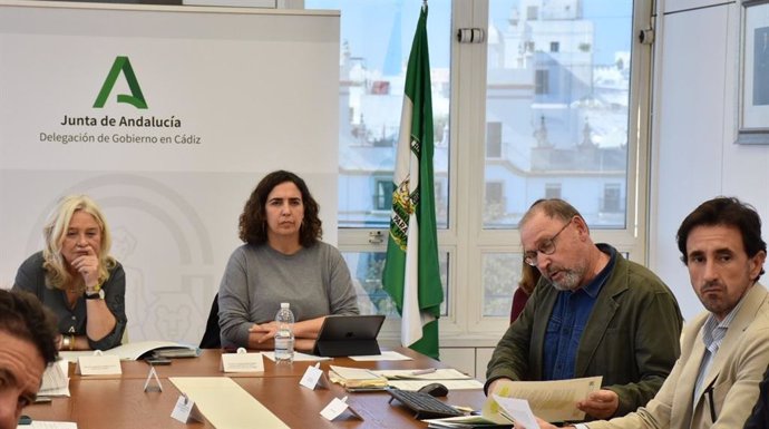 Mercedes Colombo y Carmen Sánchez en la Comisión de Ordenación Territorial de Cádiz.