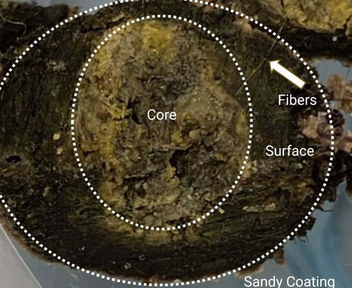 Los esfuerzos de los equipos de investigación involucrados en el análisis revelaron que el material estaba compuesto de una mezcla compleja de grasas, aceites, calcio y otros metales.