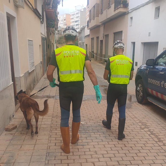 Unidad canina de los Mossos d'Esquadra en Xiva (Valencia)