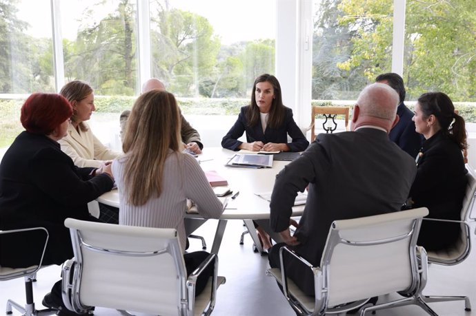 La Reina Letizia durante su reunión con responsables de AECC, Cruz Roja, ONCE, CERMI, Salud Mental y FEDER