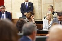 PSOE-A incide en la "enorme gravedad" del caso de contratos del SAS y Salud defiende su "colaboración" con la Justicia