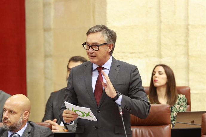 El portavoz del Grupo Vox en Andalucía, Manuel Gavira, este jueves en el Pleno del Parlamento.