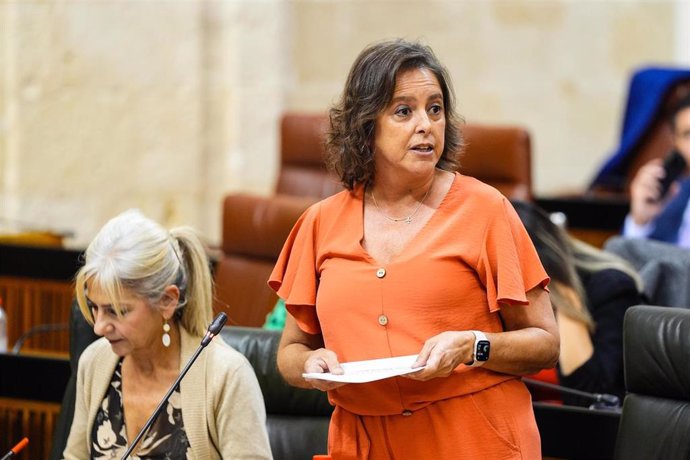 La consejera de Sostenibilidad y Medio Ambiente, Catalina García,  en el Parlamento andaluz el 7 de octubre de 2024.