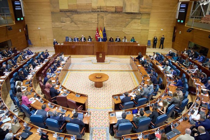 Vista general del hemiciclo de la Asamblea de Madrid, durante un pleno en la Asamblea de Madrid, a 24 de octubre de 2024, en Madrid (España). 