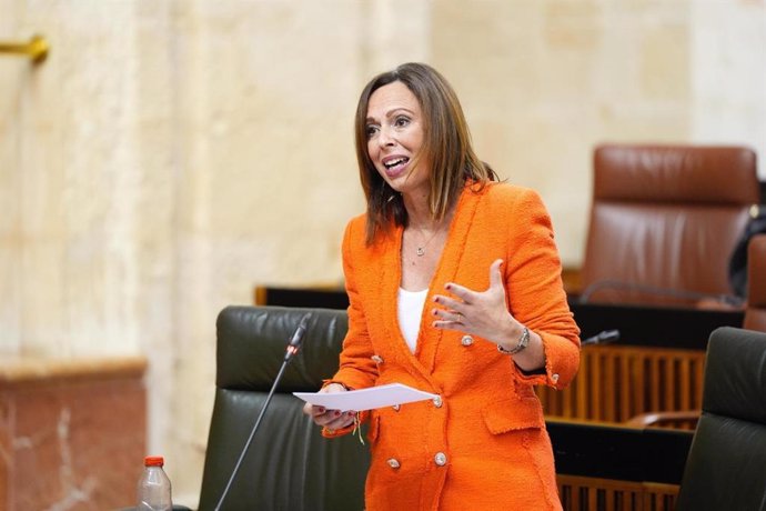 La consejera de Fomento, Articulación del Territorio y Vivienda, Rocío Díaz, en el Pleno del Parlamento.