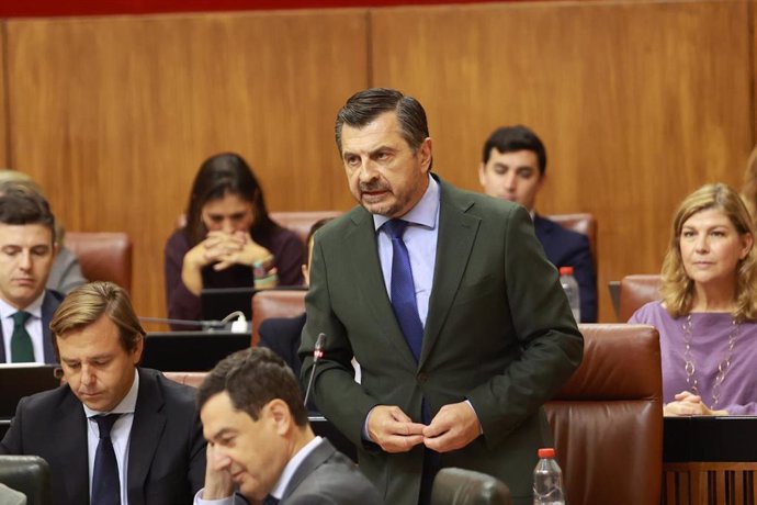 El portavoz del PP-A en el Parlamento de Andalucía, Toni Martín, este jueves durante su pregunta dirigida al presidente de la Junta, Juanma Moreno. 