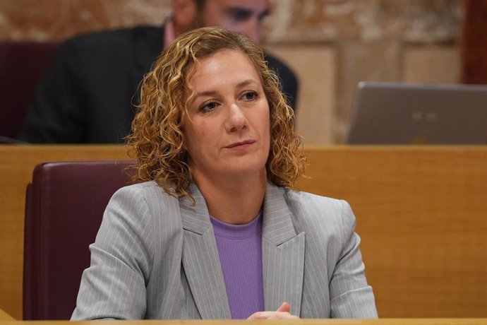 La concejal de la confluencia Izquierda Unida y Podemos, Susana Hornillo