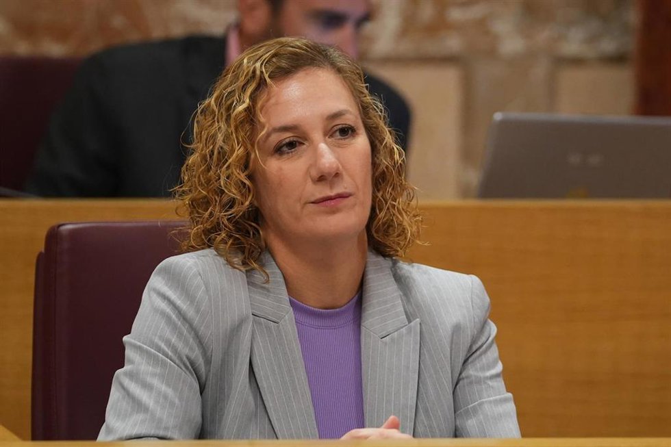 La concejal de la confluencia Izquierda Unida y Podemos, Susana Hornillo