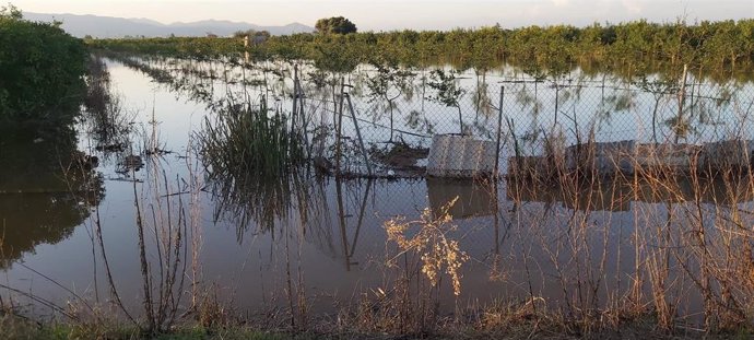 Archivo - Daños ocasionados por la DANA