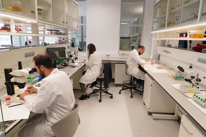 Científicos trabajando en los laboratorios de la nueva sede del Centro Oceanográfico, a 23 de octubre de 2024 en Málaga (Andalucía, España).  