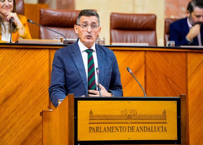 El diputado del PSOE-A José Luis Sánchez Teruel interviene en el Pleno del Parlamento andaluz.