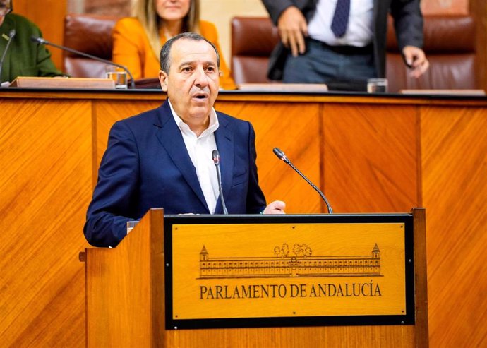 El diputado del PSOE-A José Luis Ruiz Espejo, en el Pleno del Parlamento andaluz.