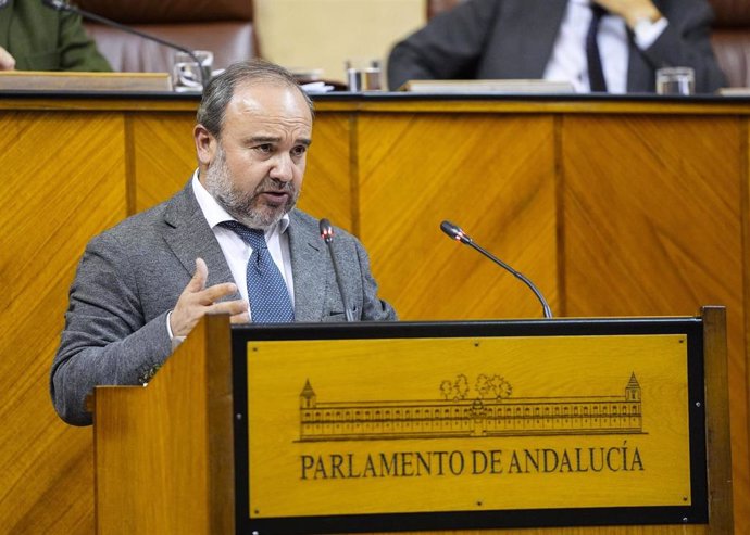 El diputado del PP-A, Manuel Alberto Sanromán, este jueves en el Pleno del Parlamento en la defensa de la PNL.