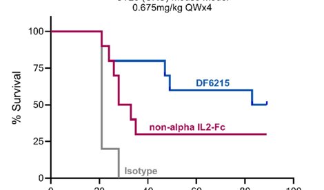 Comunicados Internacional