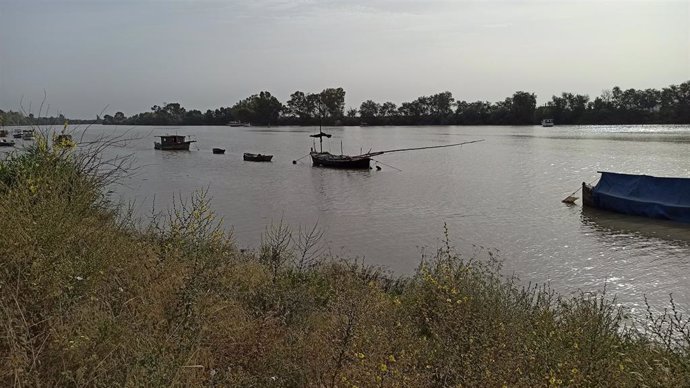 Archivo - El río Guadalquivir a su paso por Coria