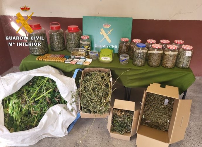 Dos detenidos en Tudela de Duero (Valladolid) tras ser desmantelada una plantación de marihuana .