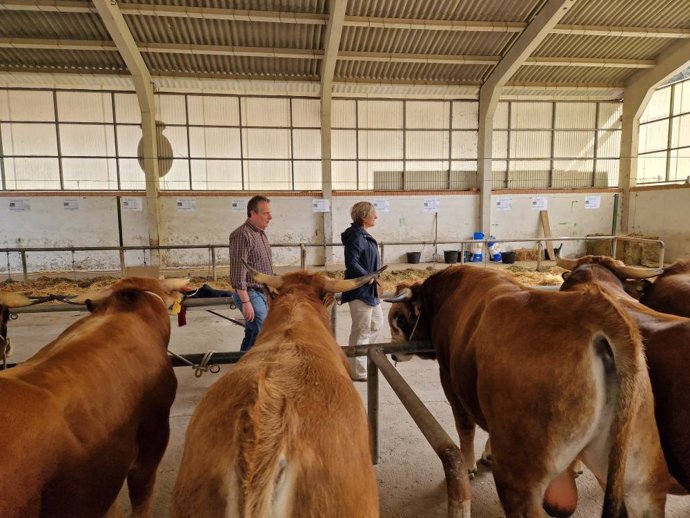 Archivo - El consejero de Medio Rural, Marcelino Marcos, asiste a la feria ganadera de Aseamo.