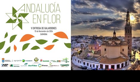 Comunicados Sociedad