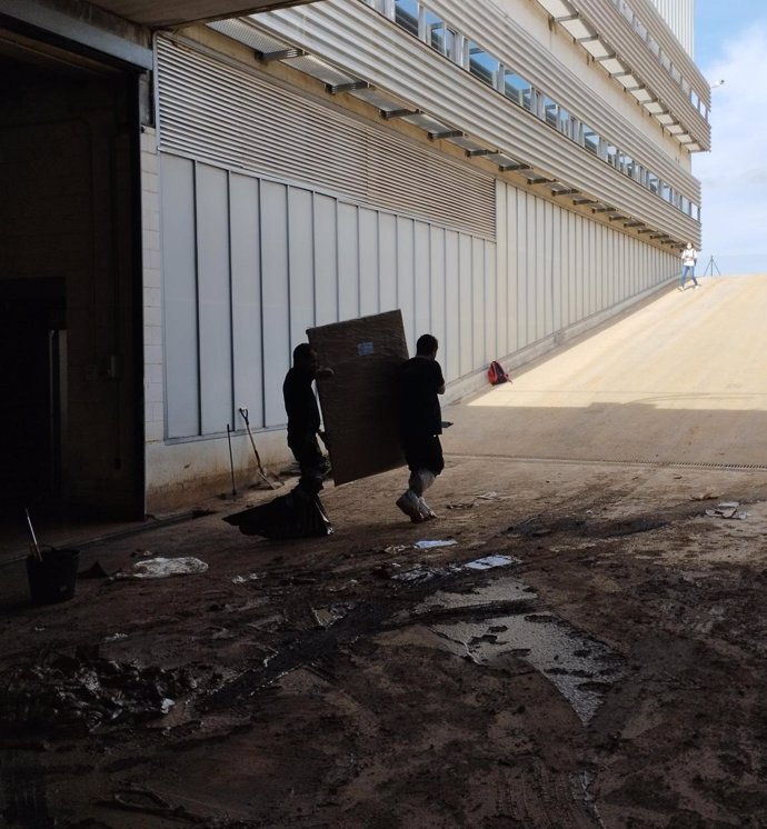 La Conselleria de Educación, Cultura, Universidades y Empleo ha comenzado a trasladar las obras de arte almacenadas en las naves de la Generalitat en la localidad de Riba-roja que han sufrido los efectos de la DANA, para determinar su estado