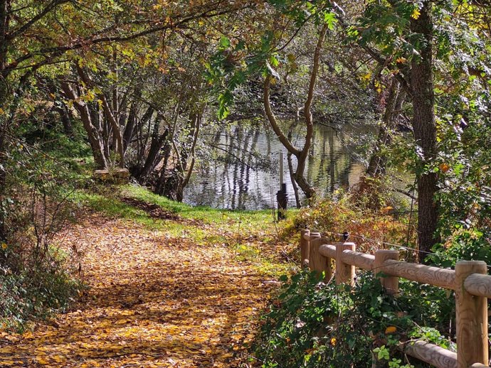 Otoño en Cantabria