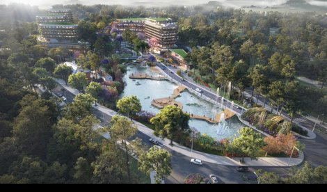 Comunicados Internacional